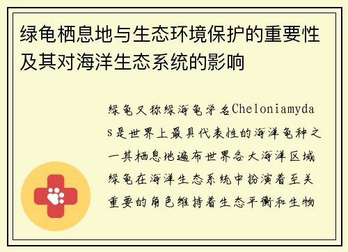 绿龟栖息地与生态环境保护的重要性及其对海洋生态系统的影响