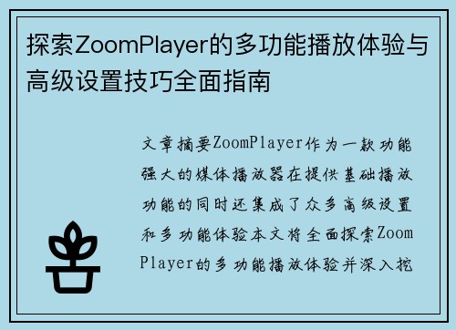探索ZoomPlayer的多功能播放体验与高级设置技巧全面指南